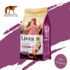 Livra Gato Adulto 3 kg