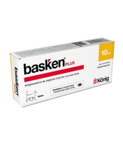 Basken Plus Gatos