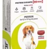 CIDAR PERROS 6,1 A 12 KG