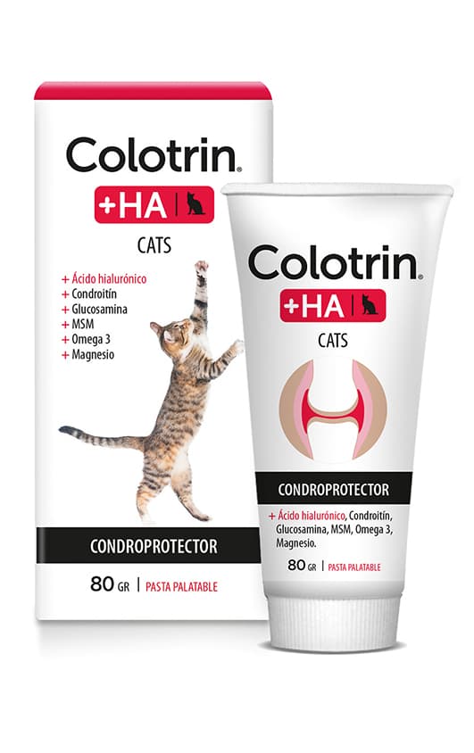 Colotrin +HA cats pasta 80gr