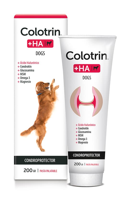 Colotrin +HA dogs pasta 200gr