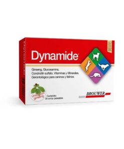 Dynamide