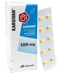 Karsivan 100 mg