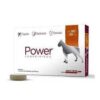 Power comprimidos (Perro 20 a 30 kg)