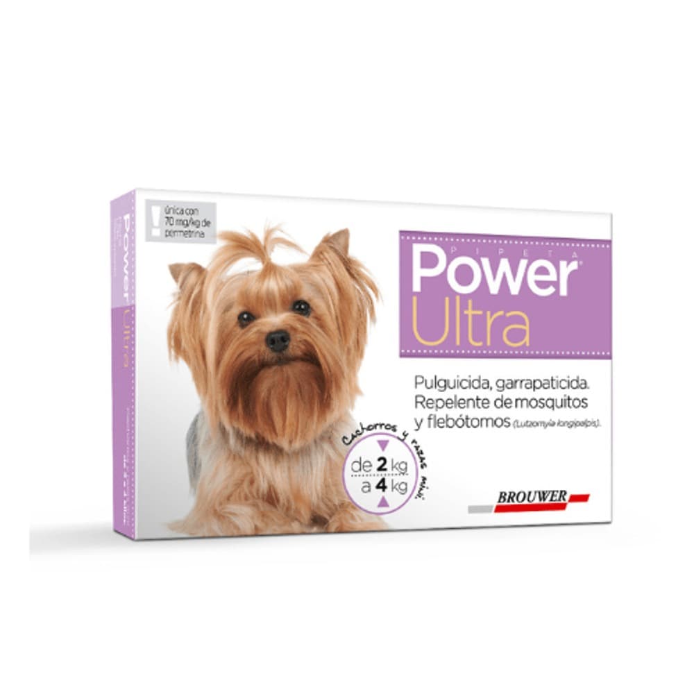 Power Ultra 2 A 4 Kg