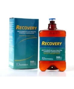 Recovery