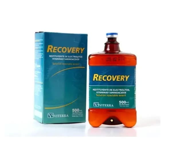 Recovery