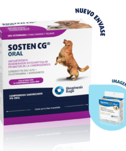 Sosten CG Oral (Caja x 80 compr)