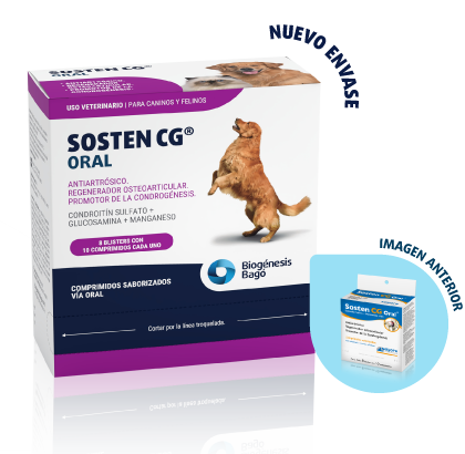 Sosten CG Oral (Caja x 80 compr)