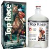 Top Race