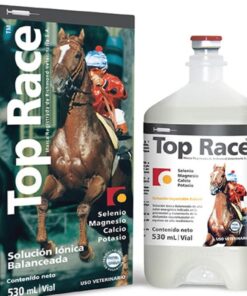 Top Race