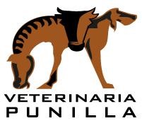 Veterinaria Punilla