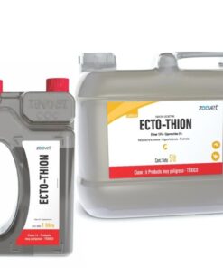 Ecto Thion
