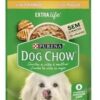 Pouch Dog Chow Perro Adulto Sabor Pollo 100gr